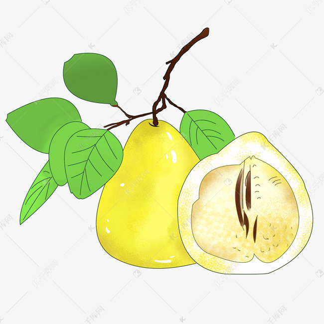 手绘新鲜水果黄色柚子插画
