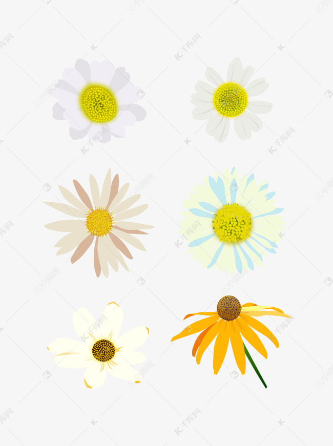 雏菊花朵黄色小清新手绘风元素