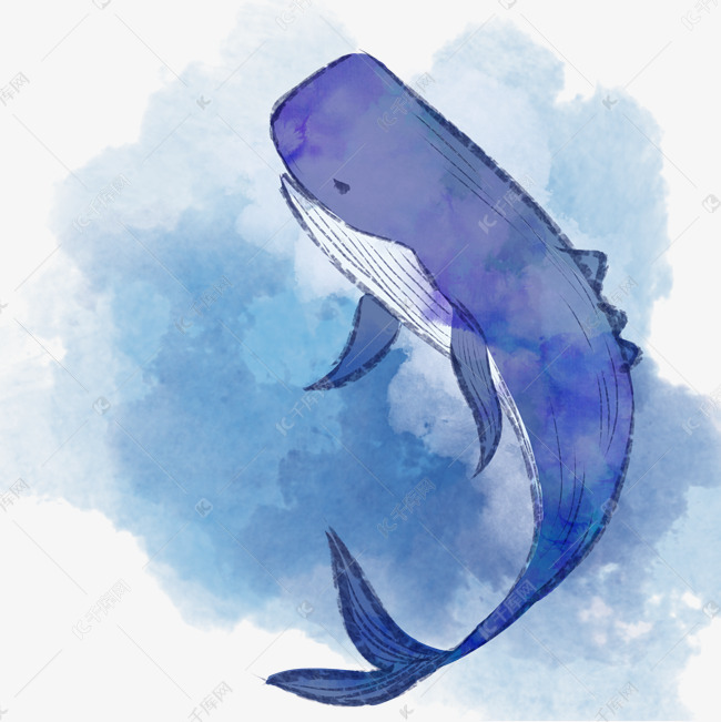 手绘水彩蓝色鲸鱼插画