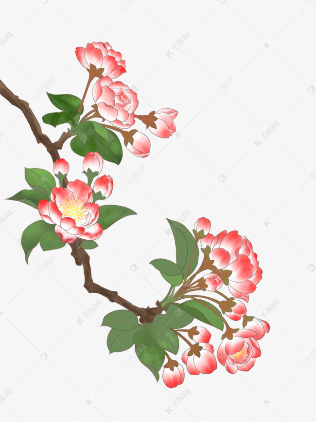 古风手绘花朵主题插画
