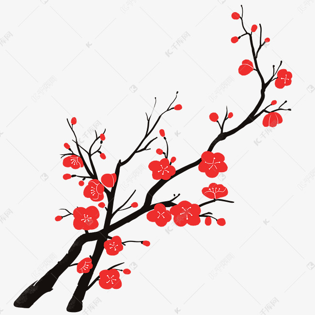 植物红梅梅花花枝插画