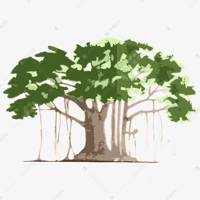 手绘绿色植物孟加拉古榕树矢量图