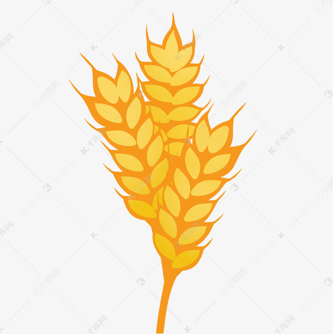 农作物粮食小麦卡通图