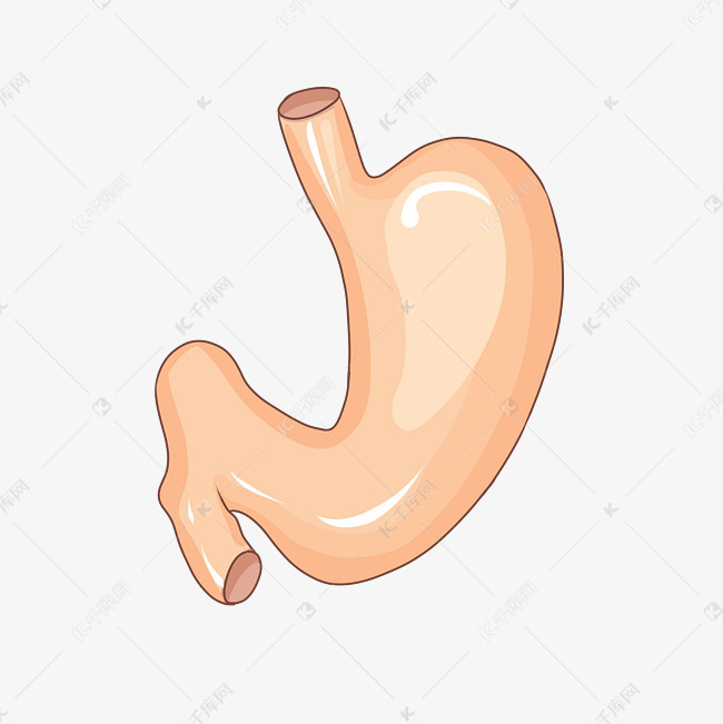 手绘医疗器官主题胃卡通插画