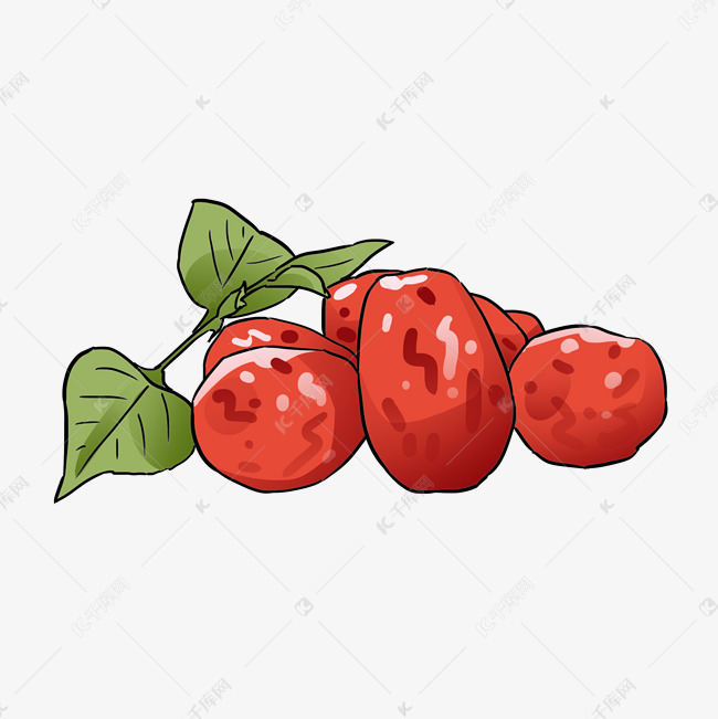 手绘红枣插画素材