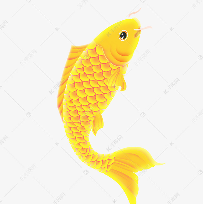 鱼图案头像 717f6b4ebb591b3a7d63e94be279c94d.jpg