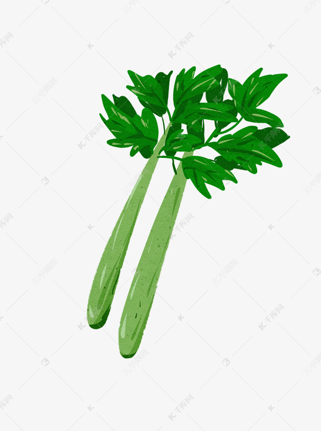 芹菜手绘蔬菜食物卡通插画元素