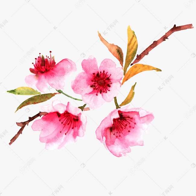 水彩唯美桃花插画