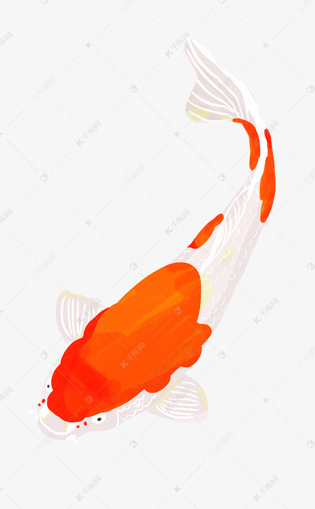 黄色锦鲤手绘卡通插画素材图片免费下载-千库网