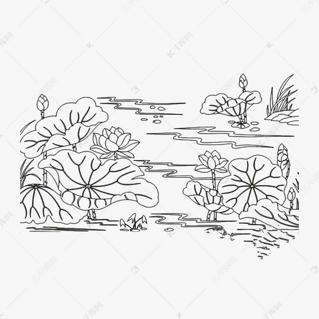 荷花儿池塘线条png