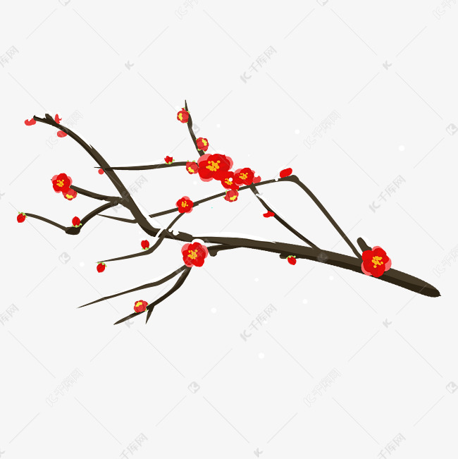 中国风腊梅手绘梅花手绘插画