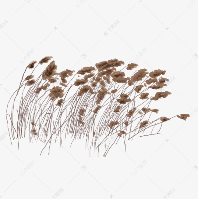恶搞芦苇视频素材,恶搞芦苇视频素材下载