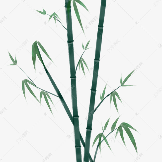 水彩绿色的竹子插画素材图片免费下载-千库网