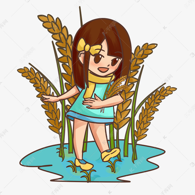 寒露女孩插水稻