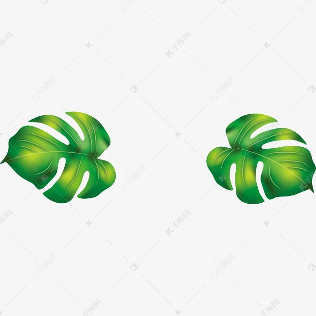 两片对称的绿色叶子的素材免抠叶子热带植物植物树叶绿色树叶卡通树叶