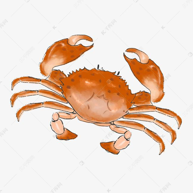 手绘海鲜螃蟹插画