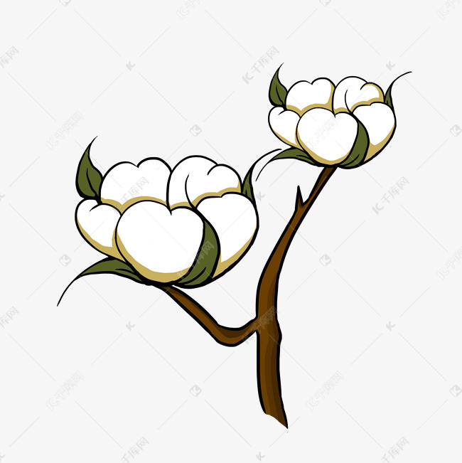 植物木棉花手绘插画
