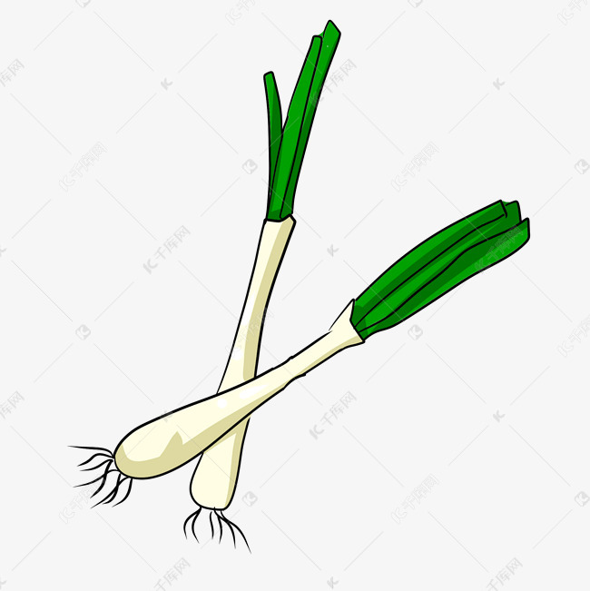 彩色手绘大葱食物