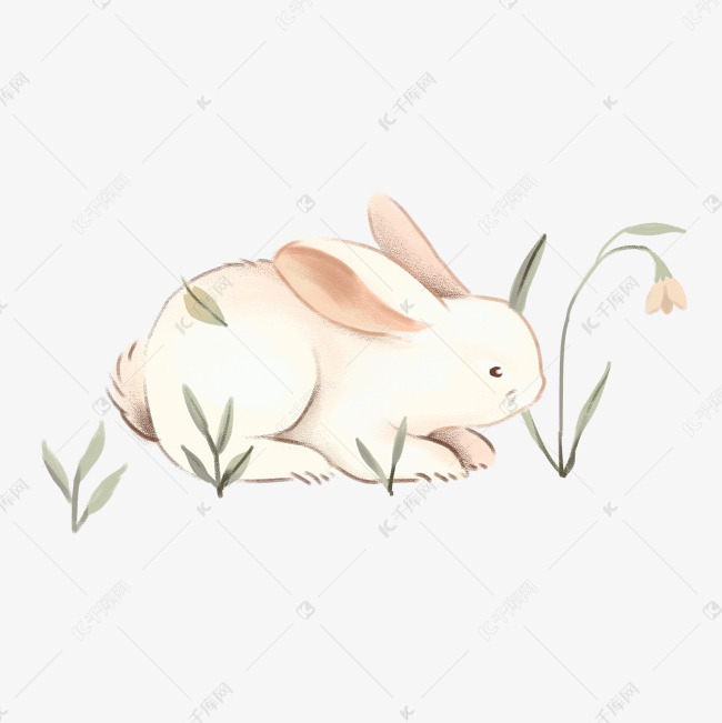 手绘可爱的卡通兔子