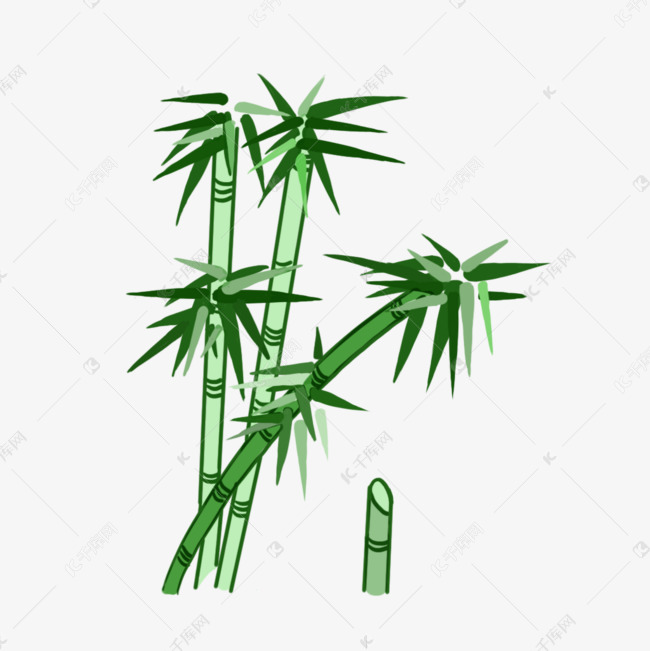 可爱手绘绿色竹子竹叶