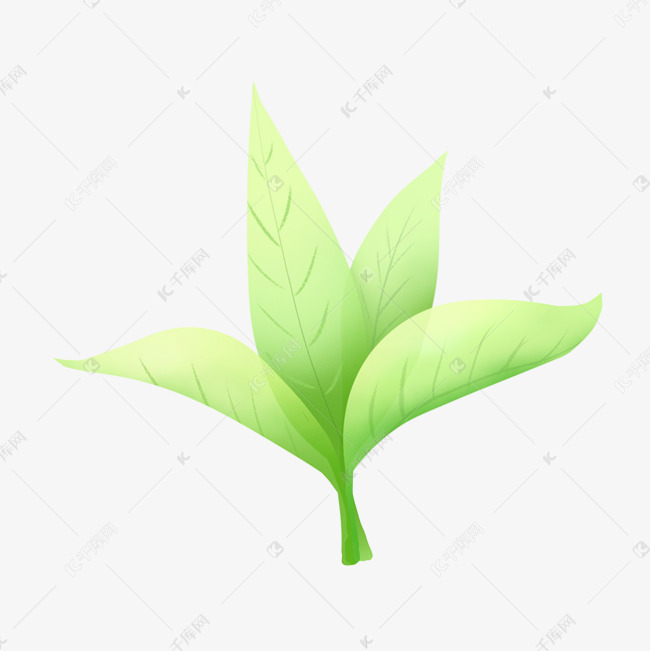 春天植物嫩芽