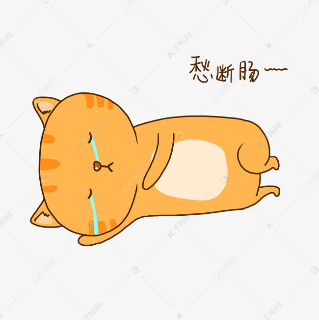 橘猫可爱挑发愁表情包