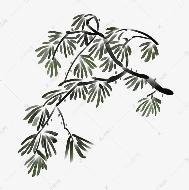水墨松枝装饰插画