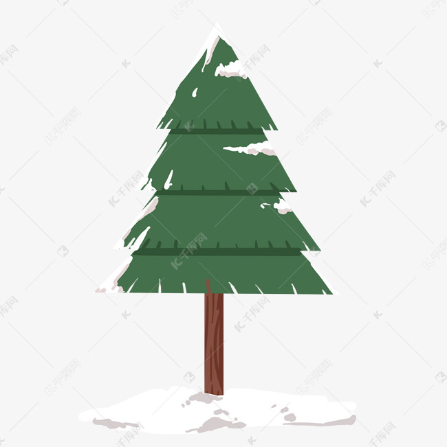 冬天雪地上的常青树