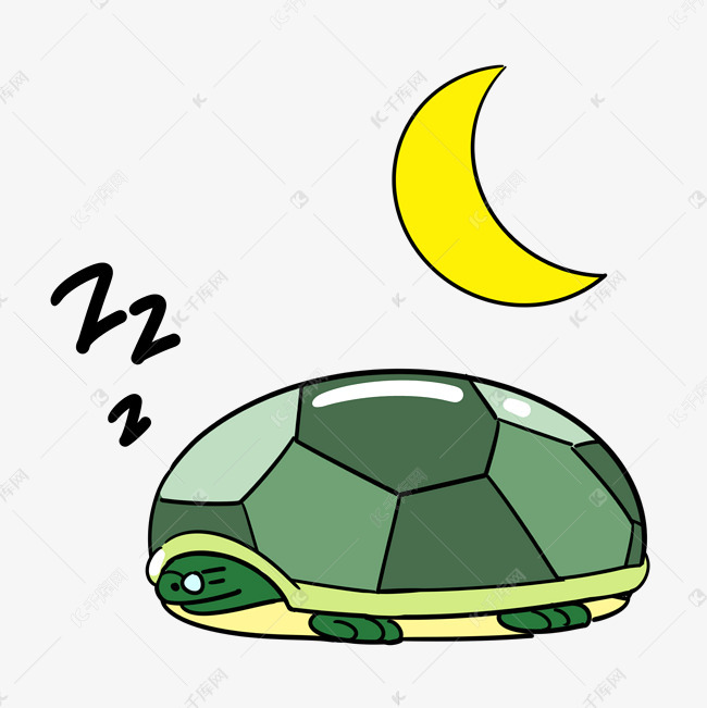 小乌龟睡觉