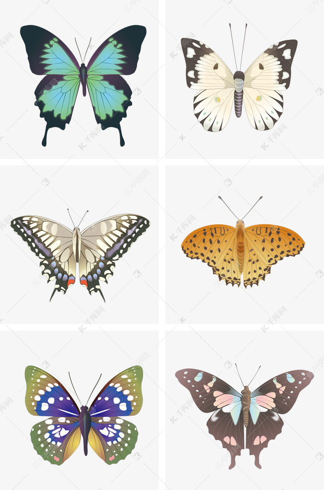 24d7bf864ed6bb3a3613b84a17d0f29f.jpg