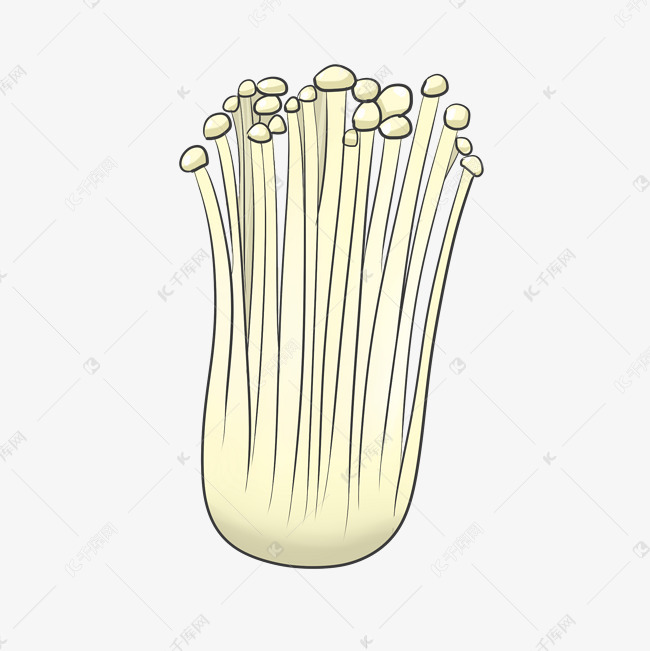 白色的金针菇