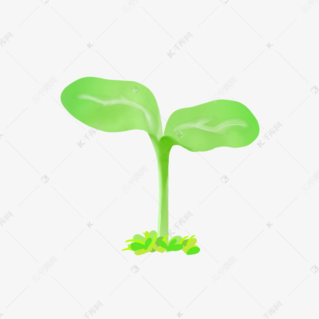 长出嫩叶的卡通豆芽图案