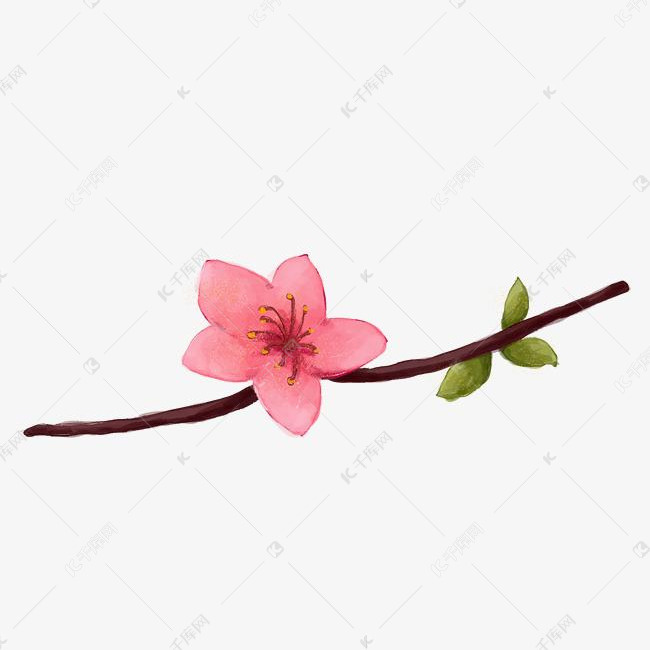 立体桃花手绘插画