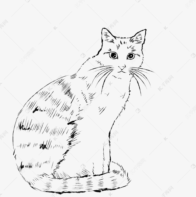 帅气猫咪线条