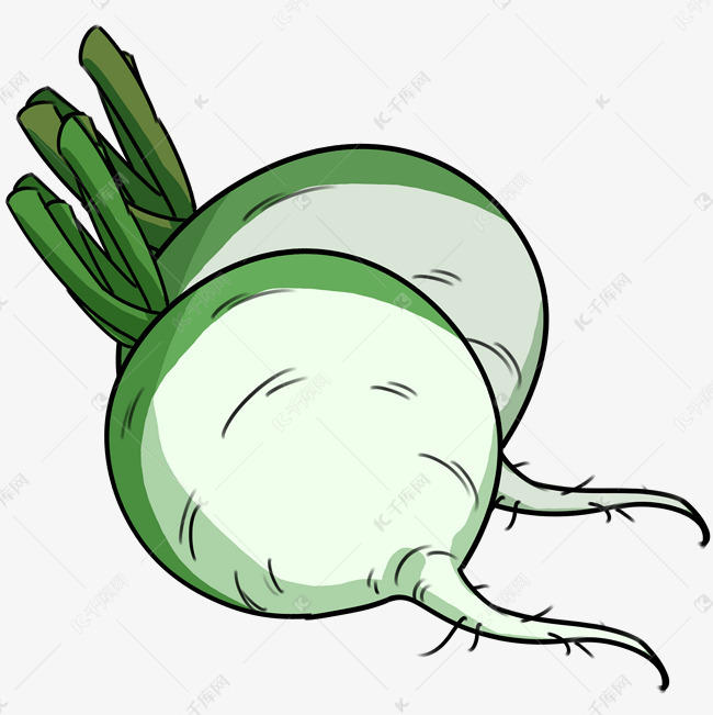 手绘蔬菜绿萝卜