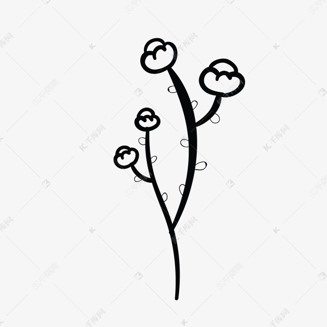 卡通简笔画棉花花朵