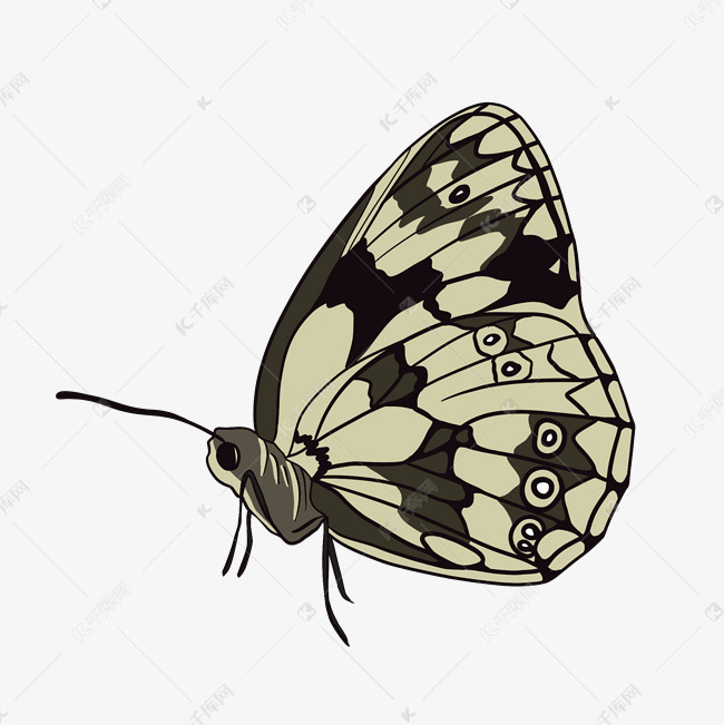 4c0543b1c5af6e484ad18c2a6d26002e.jpg
