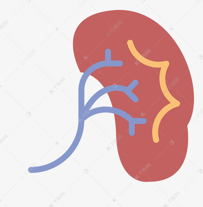 水彩红色手绘脾脏的素材免抠脾脏水彩卡通手绘设计创意