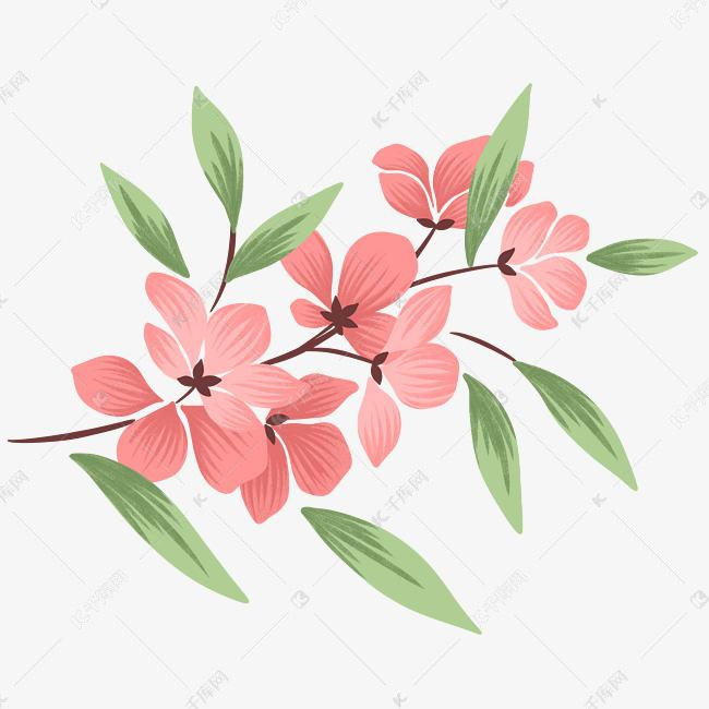 小清新春天花枝插画