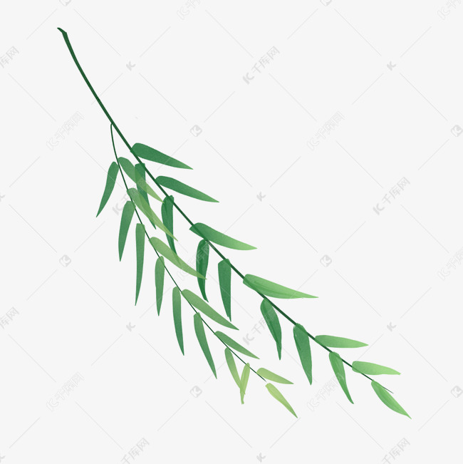 春天手绘植物小清新柳叶