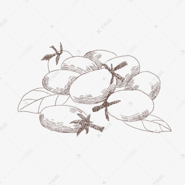 线描圣女果手绘插画