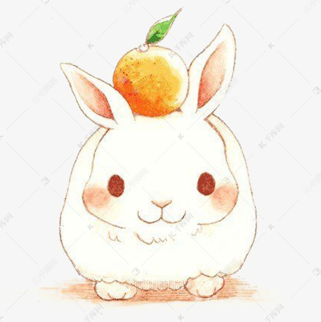 卡通手绘兔子与橘子的素材免抠卡通手绘创意动漫动画简约白色的兔子