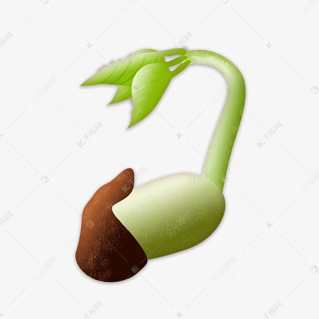 春季初生绿芽手绘