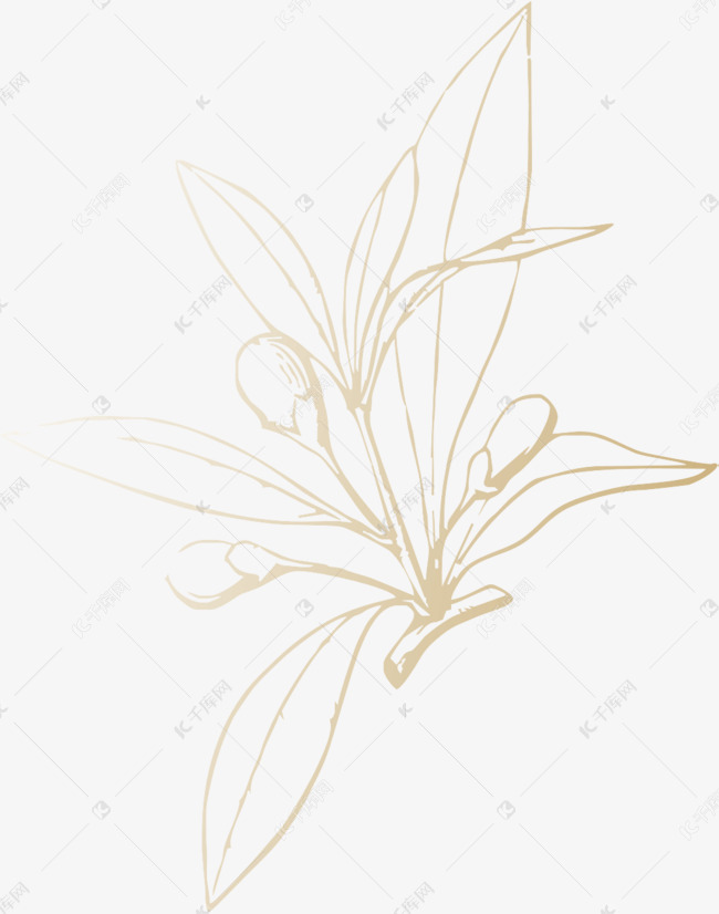 手绘枸杞
