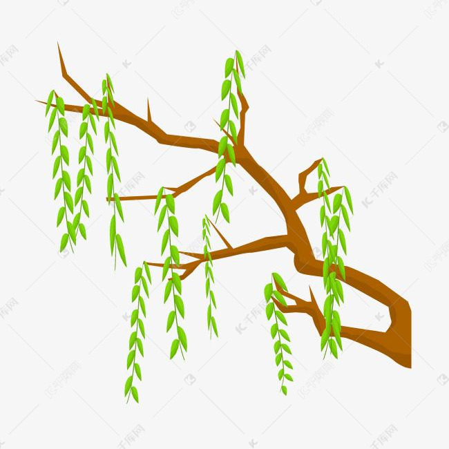 手绘柳树枝芽