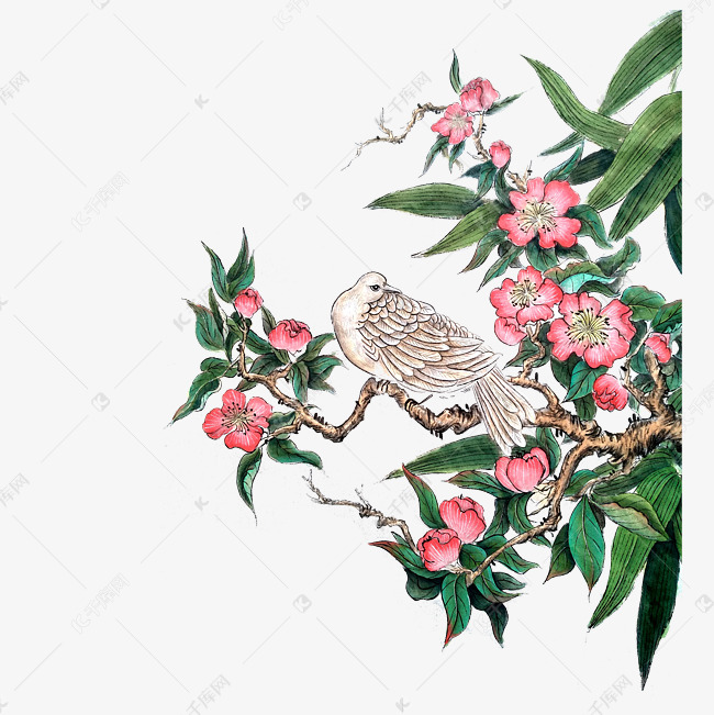 绿叶红花图片及名称 74c8cc69e77f6d193a6e31999c5b260c.jpg