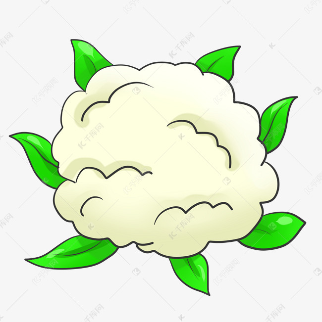 白色的菜花
