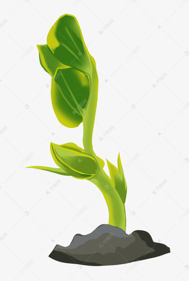 萌芽,萌芽杂志