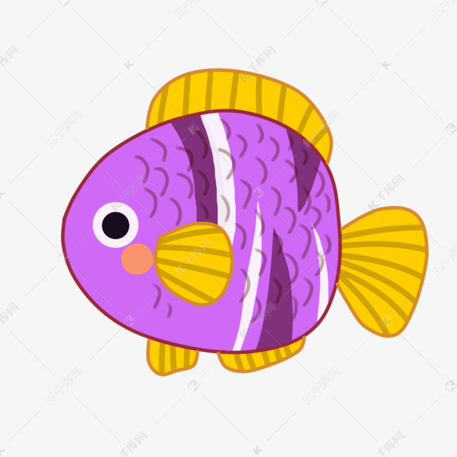 鱼类紫色黄色可爱小鱼观赏