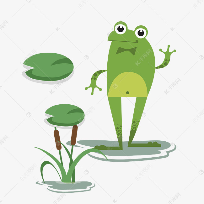 青蛙的图片正面图 8463908bd0061b3c59950da5d27858a3.jpg